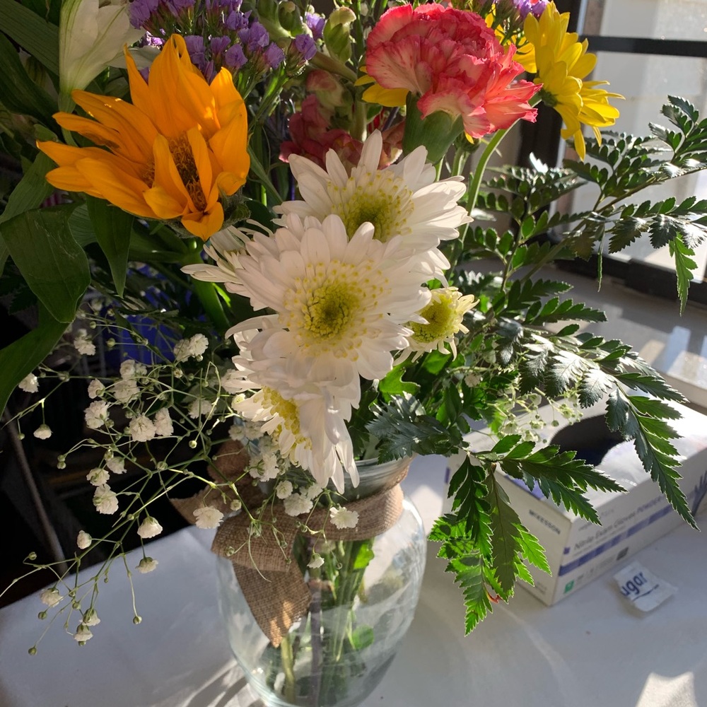 Meet your Posher, Morgan